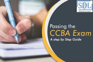 CCBA Antworten